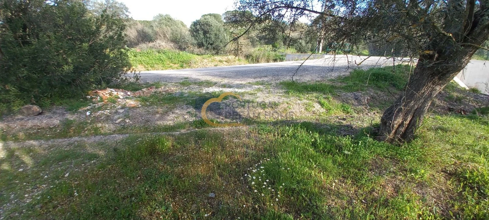 Terreno para Venda em São Bartolomeu de Messines Foto 21