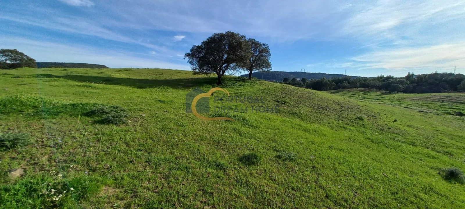 Terreno para Venda em São Bartolomeu de Messines Foto 4