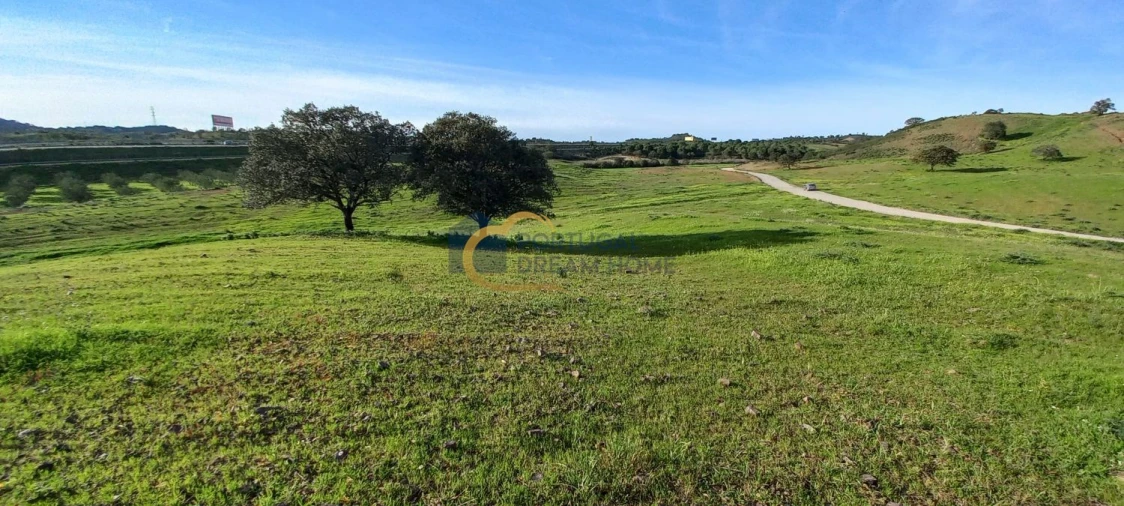 Terreno para Venda em São Bartolomeu de Messines Foto 3