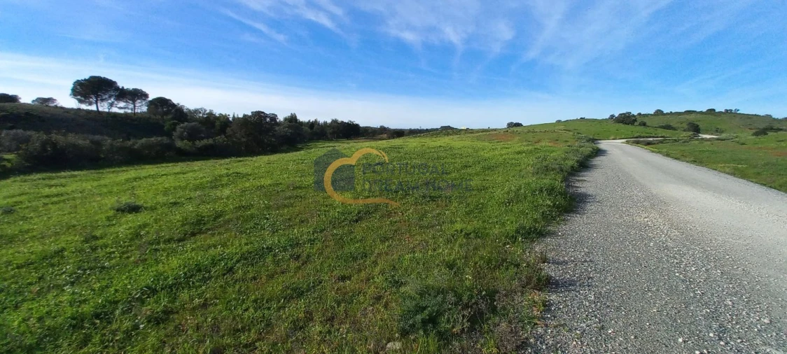 Terreno para Venda em São Bartolomeu de Messines Foto 6