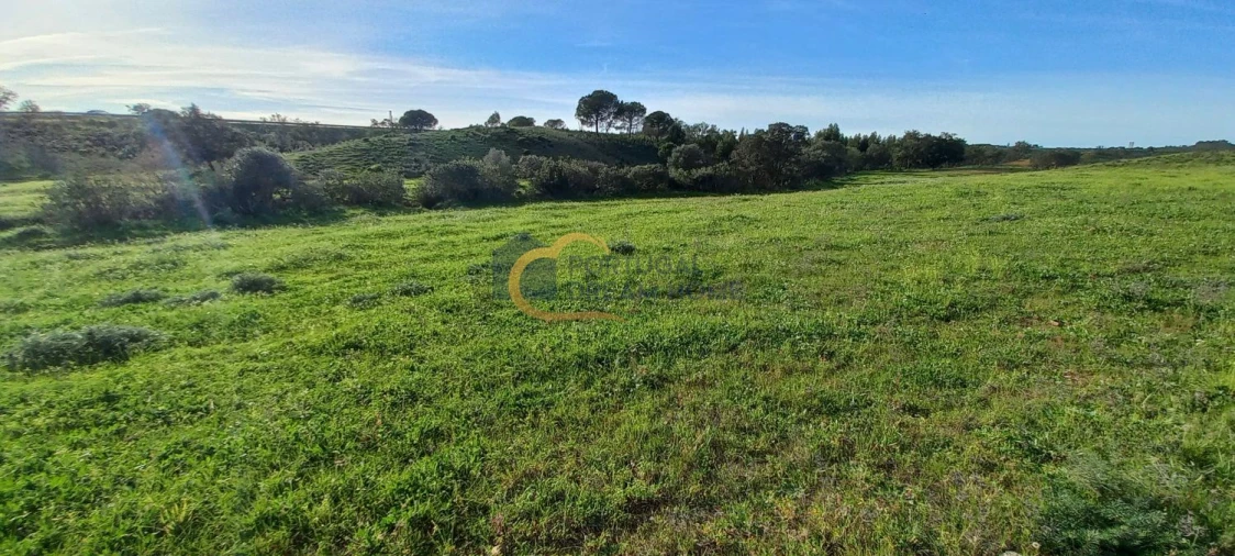 Terreno para Venda em São Bartolomeu de Messines Foto 18
