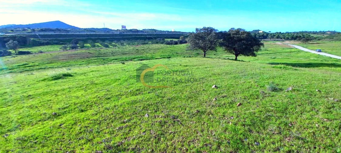 Terreno para Venda em São Bartolomeu de Messines Foto 17