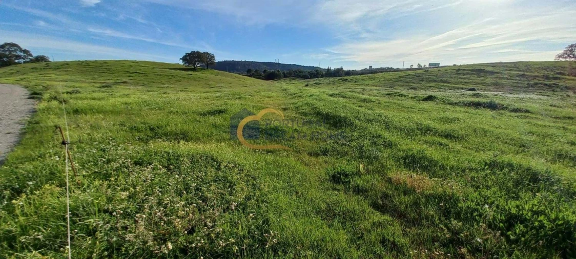 Terreno para Venda em São Bartolomeu de Messines Foto 16