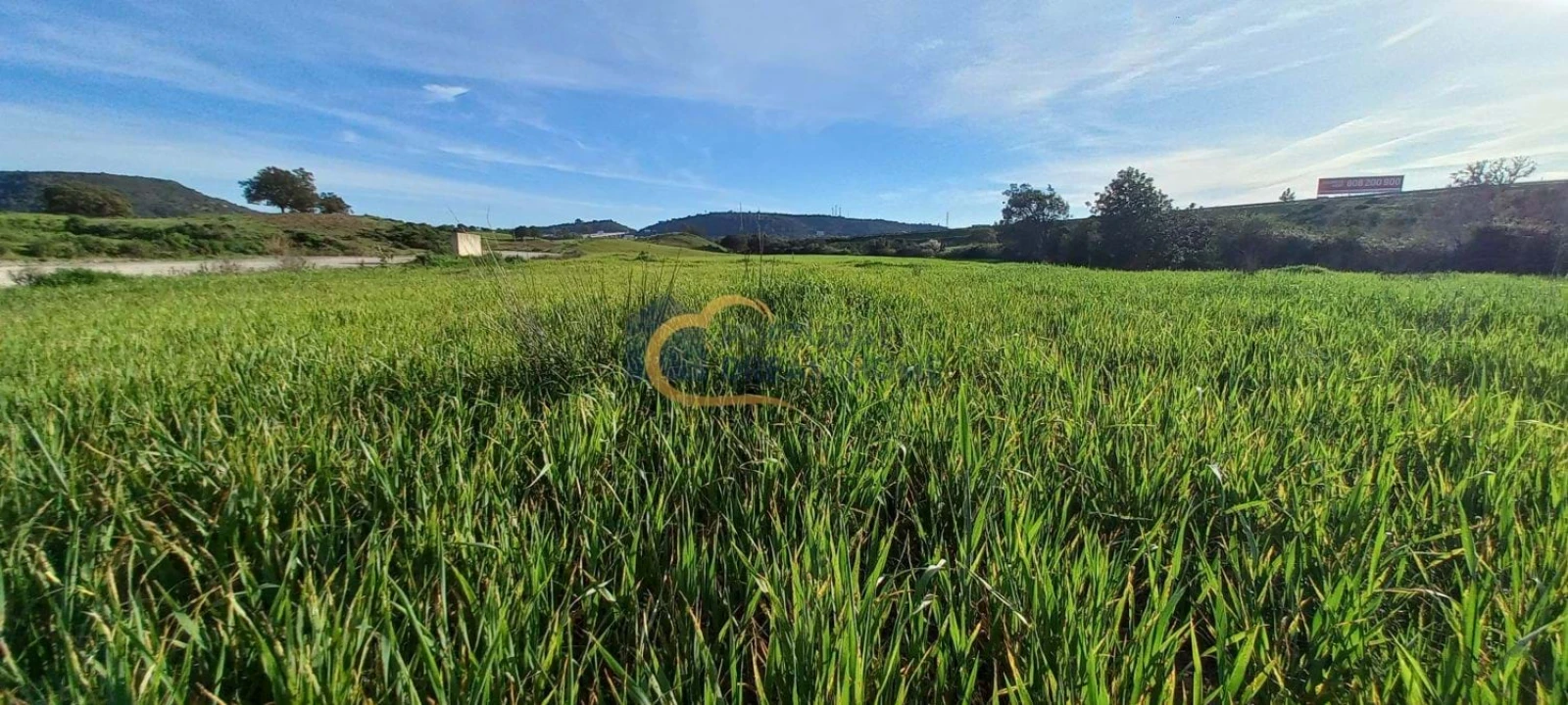 Terreno para Venda em São Bartolomeu de Messines Foto 1
