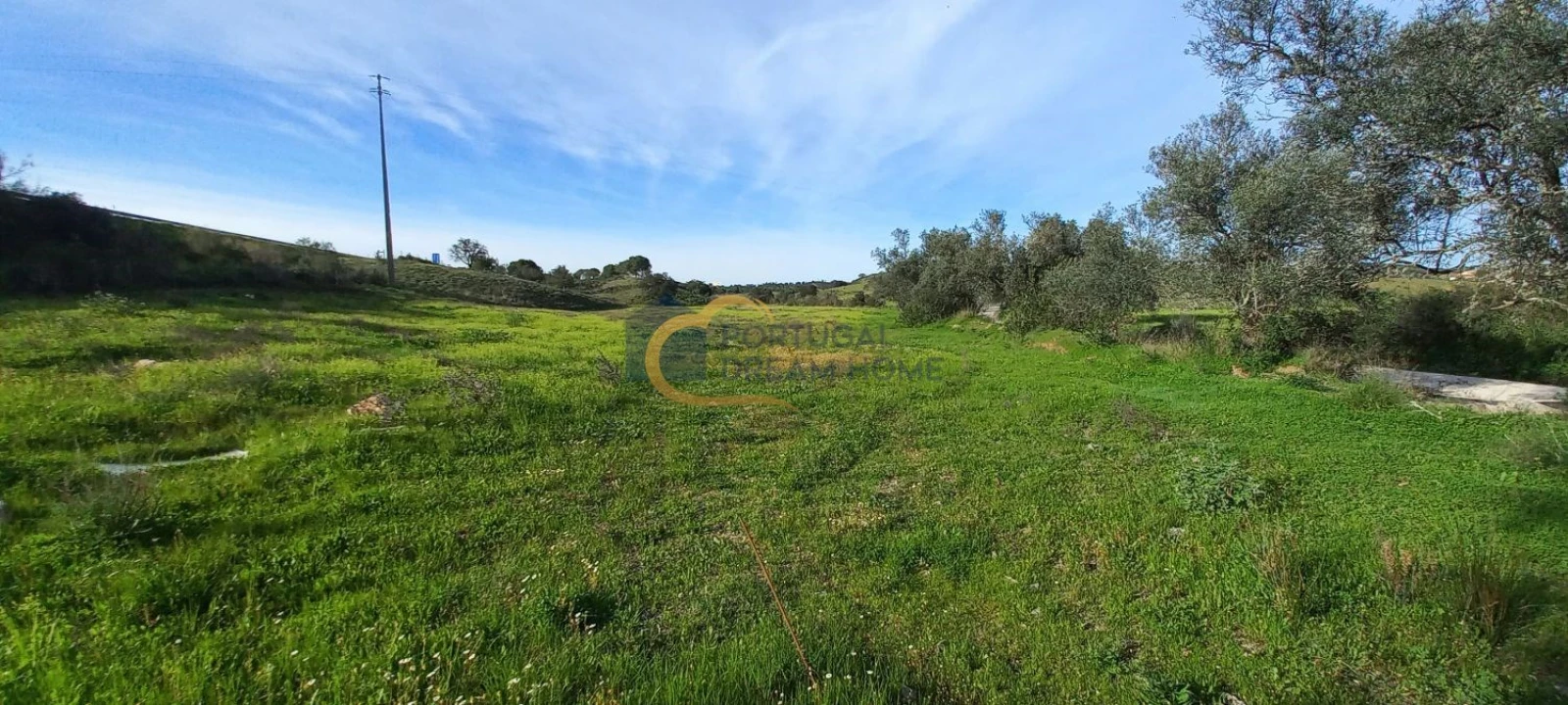 Terreno para Venda em São Bartolomeu de Messines Foto 13