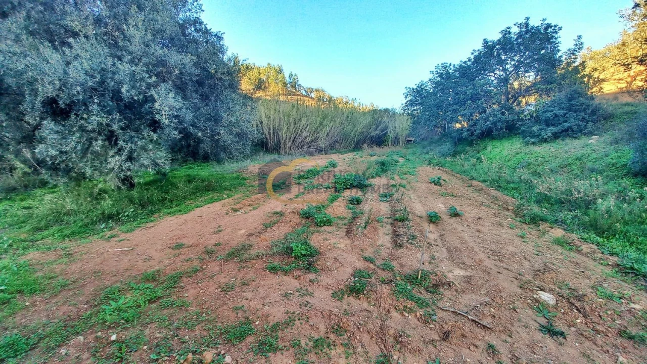 Moradia T3 para Venda em São Bartolomeu de Messines Foto 42