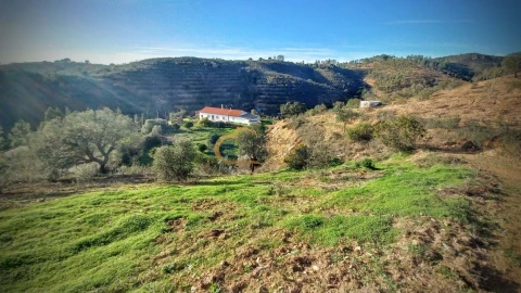 Moradia T3 para Venda em São Bartolomeu de Messines