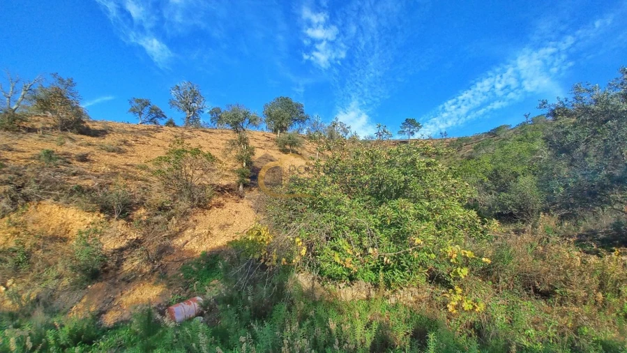 Moradia T3 para Venda em São Bartolomeu de Messines Foto 45