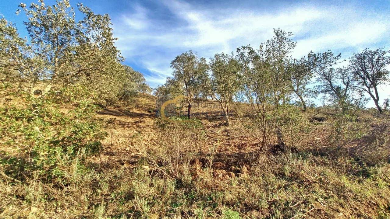Moradia T3 para Venda em São Bartolomeu de Messines Foto 43