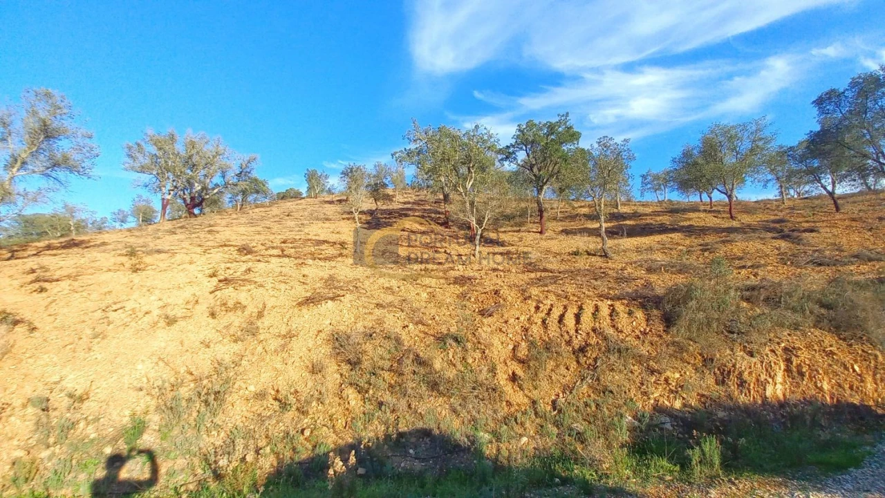 Moradia T3 para Venda em São Bartolomeu de Messines Foto 47