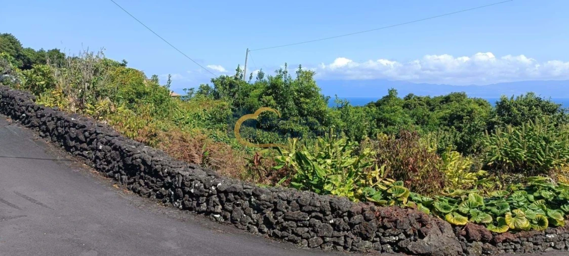 Terreno para Venda em Calheta de Nesquim Foto 13