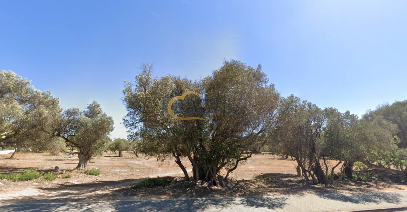 Terreno para Venda em Albufeira e Olhos de Água Foto 7