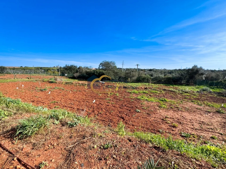 Moradia T4 para Venda em Silves Foto 38