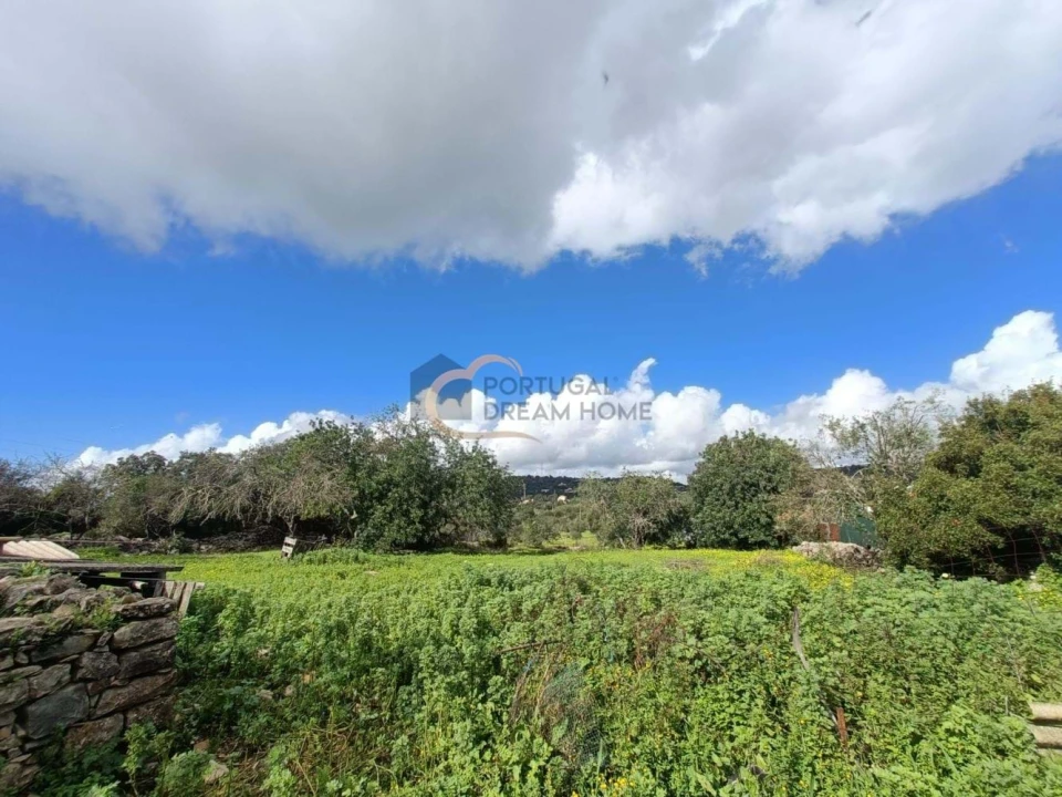 Moradia T4 para Venda em São Brás de Alportel Foto 5
