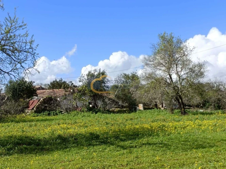 Moradia T4 para Venda em São Brás de Alportel Foto 3