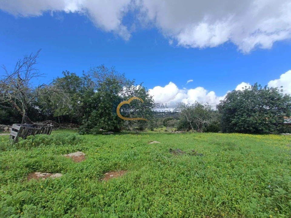 Moradia T4 para Venda em São Brás de Alportel Foto 12