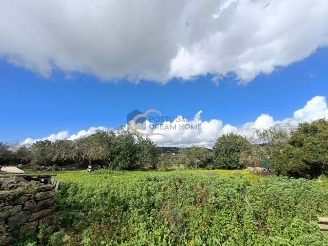 Moradia T4 para Venda em São Brás de Alportel Foto 5