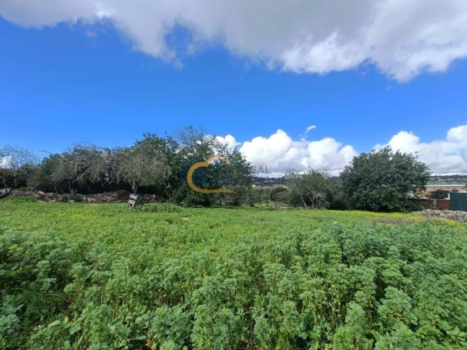 Moradia T4 para Venda em São Brás de Alportel Foto 2