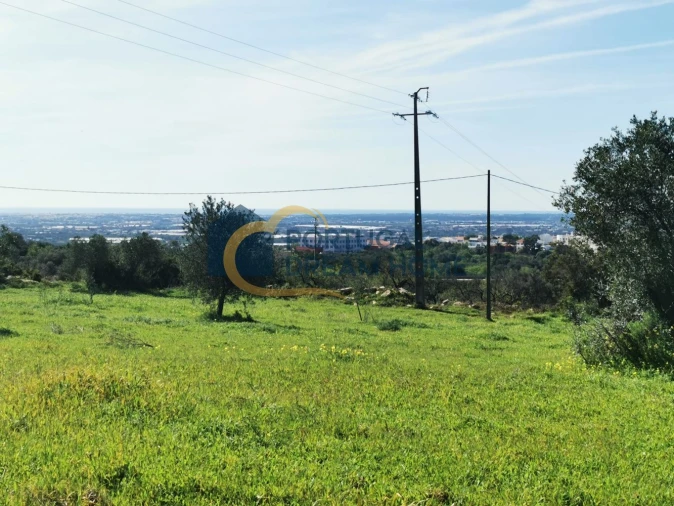 Terreno Agricola ou Rústico para Venda em Faro (Sé e São Pedro) Foto 4