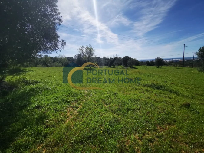 Terreno Agricola ou Rústico para Venda em Faro (Sé e São Pedro) Foto 3