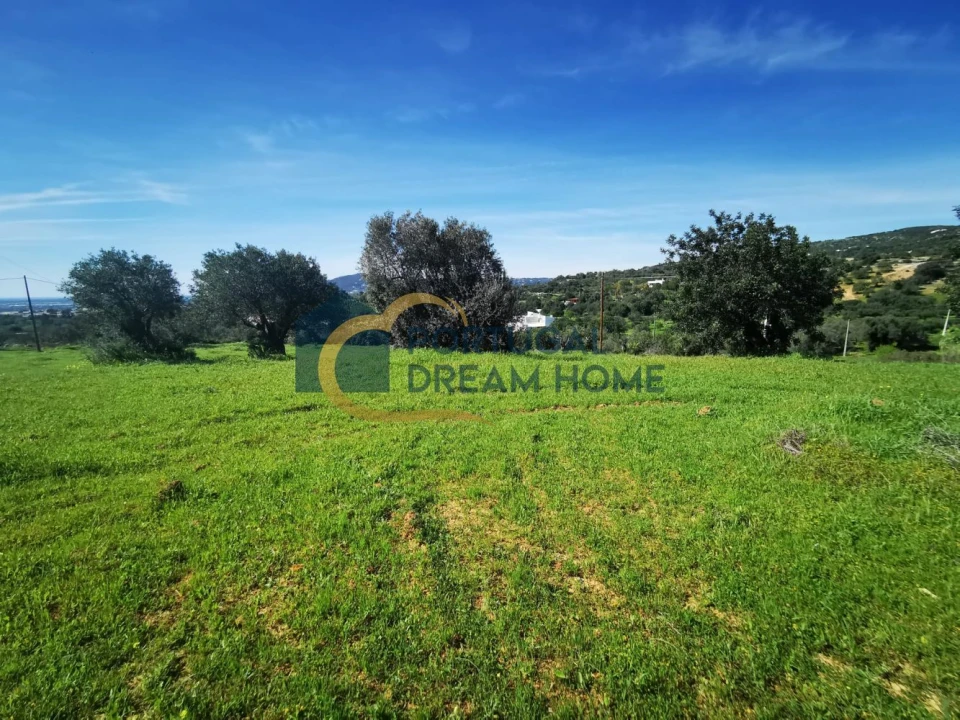 Terreno Agricola ou Rústico para Venda em Faro (Sé e São Pedro) Foto 2