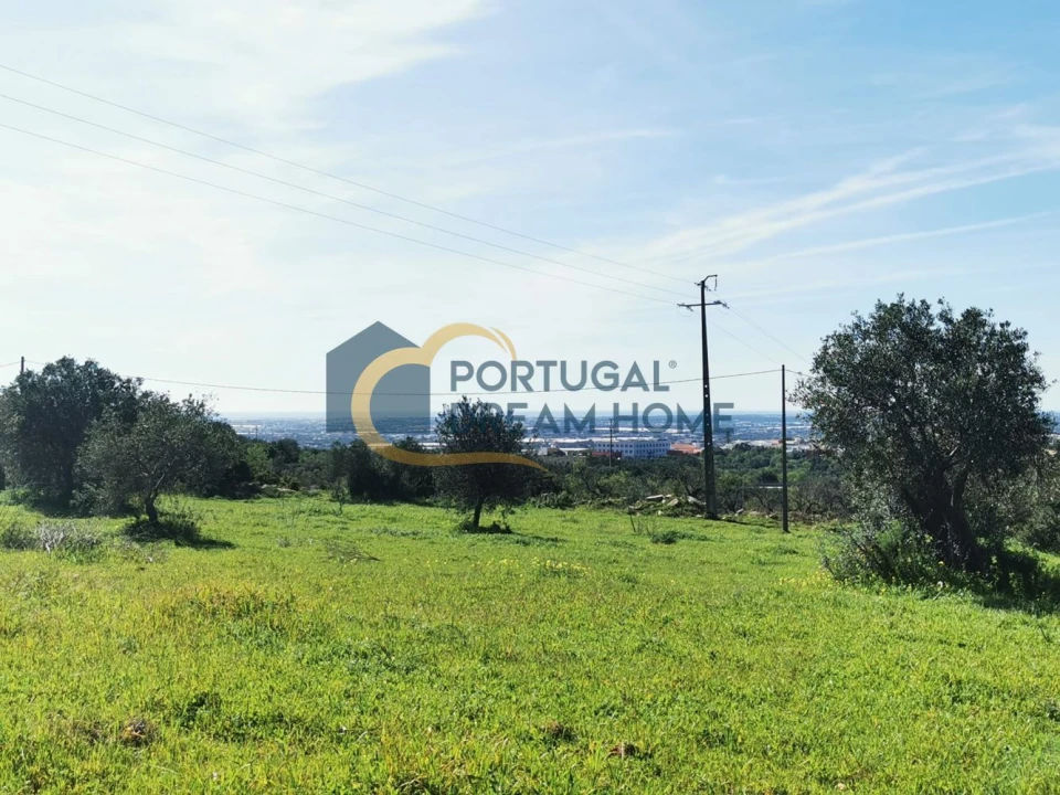 Terreno Agricola ou Rústico para Venda em Faro (Sé e São Pedro) Foto 7
