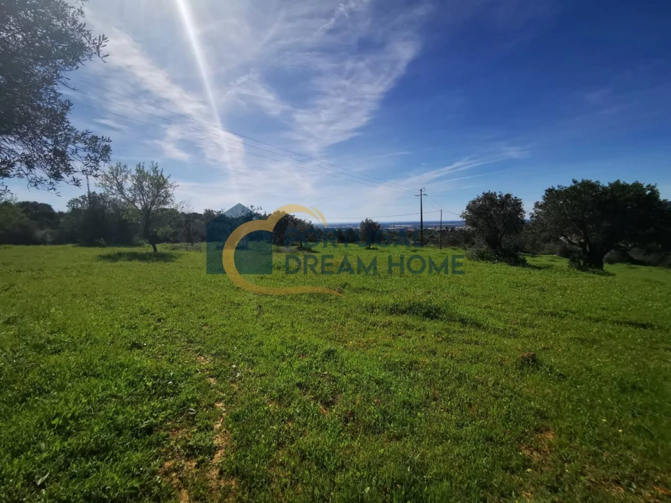 Terreno Agricola ou Rústico para Venda em Faro (Sé e São Pedro) Foto 6
