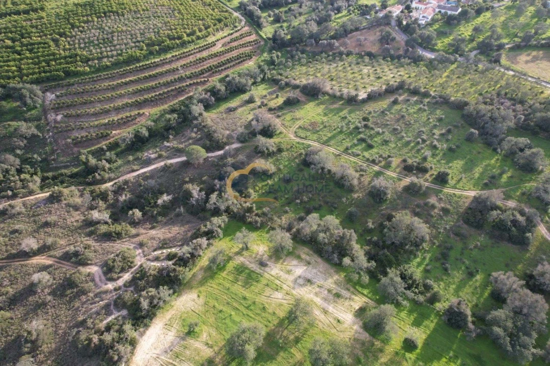 Terreno Agricola ou Rústico para Venda em Albufeira e Olhos de Água Foto 8