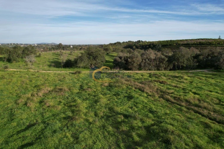 Terreno Agricola ou Rústico para Venda em Albufeira e Olhos de Água Foto 11