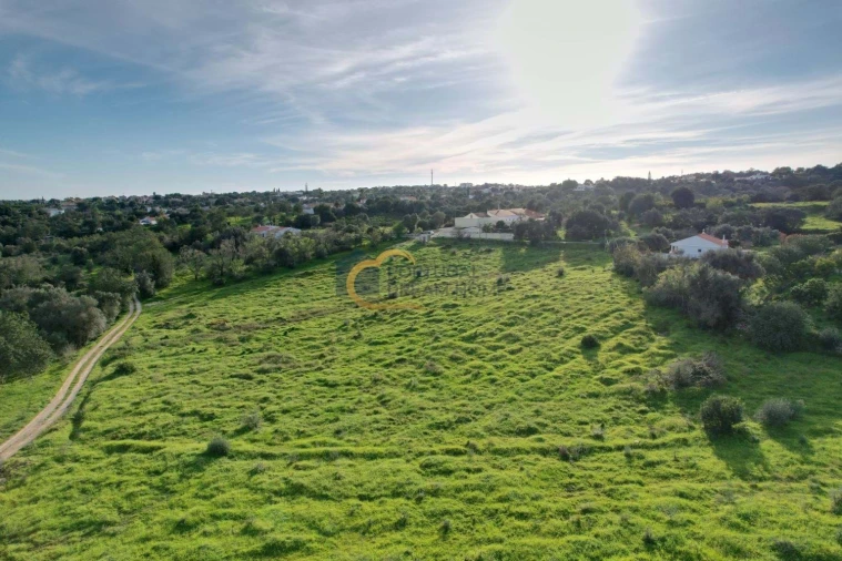Terreno Agricola ou Rústico para Venda em Albufeira e Olhos de Água Foto 4