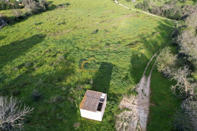 Terreno Agricola ou Rústico para Venda em Albufeira e Olhos de Água Foto 19