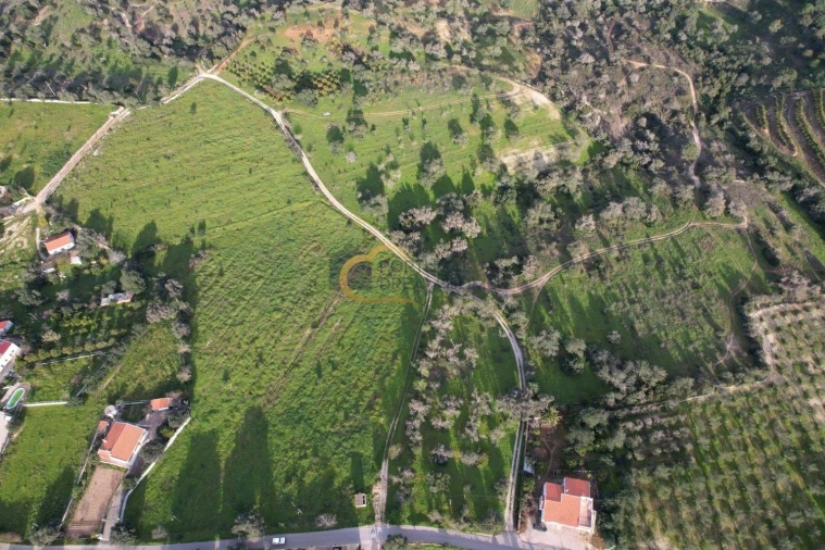 Terreno Agricola ou Rústico para Venda em Albufeira e Olhos de Água Foto 13