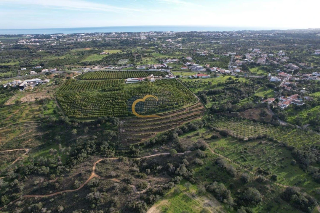 Terreno Agricola ou Rústico para Venda em Albufeira e Olhos de Água Foto 17