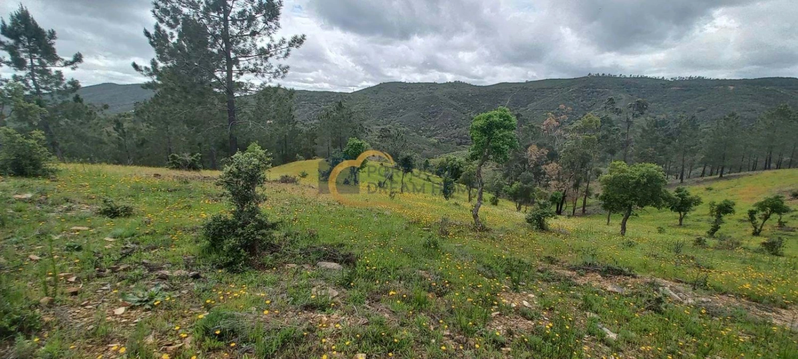 Terreno Agricola ou Rústico para Venda em São Silvestre Foto 15