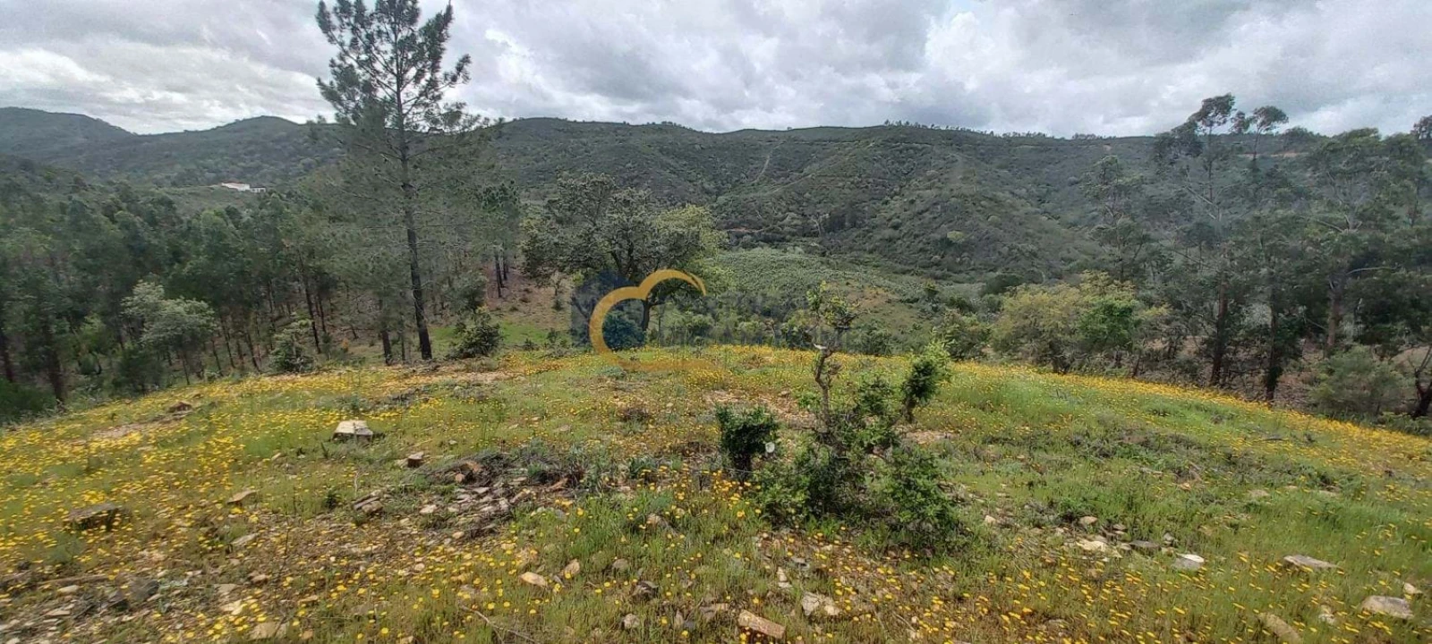 Terreno Agricola ou Rústico para Venda em São Silvestre Foto 1