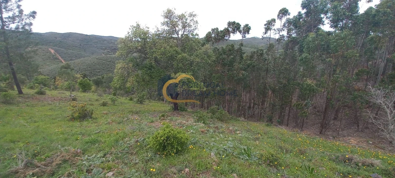 Terreno Agricola ou Rústico para Venda em São Silvestre Foto 9