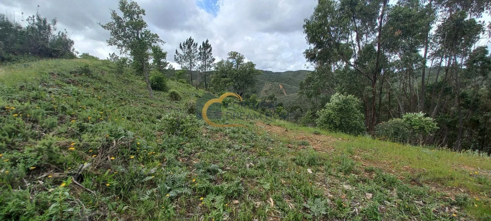 Terreno Agricola ou Rústico para Venda em São Silvestre Foto 13