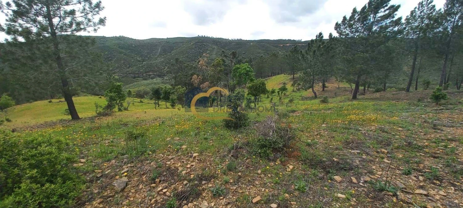 Terreno Agricola ou Rústico para Venda em São Silvestre Foto 16