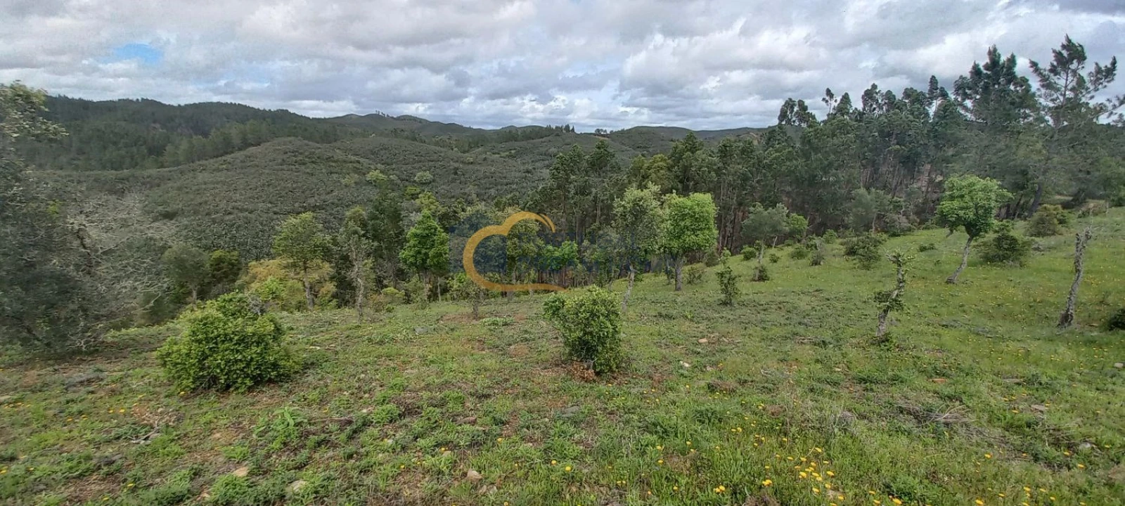 Terreno Agricola ou Rústico para Venda em São Silvestre Foto 12