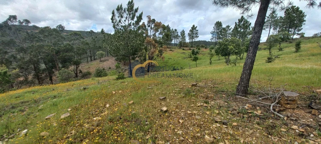 Terreno Agricola ou Rústico para Venda em São Silvestre Foto 17