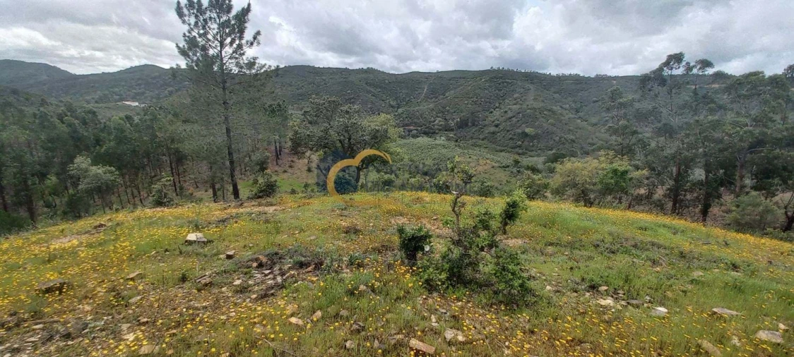 Terreno Agricola ou Rústico para Venda em São Silvestre