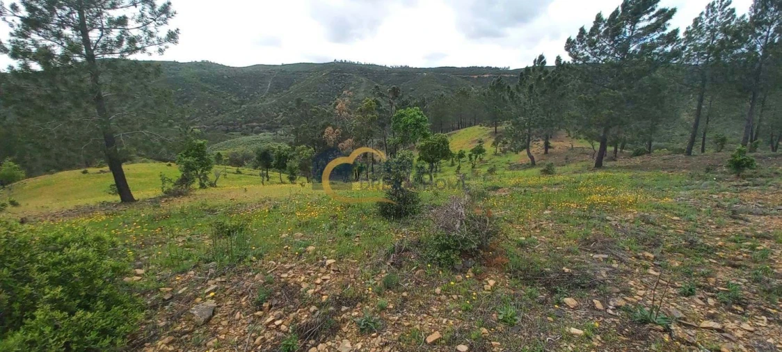Terreno Agricola ou Rústico para Venda em São Silvestre Foto 16