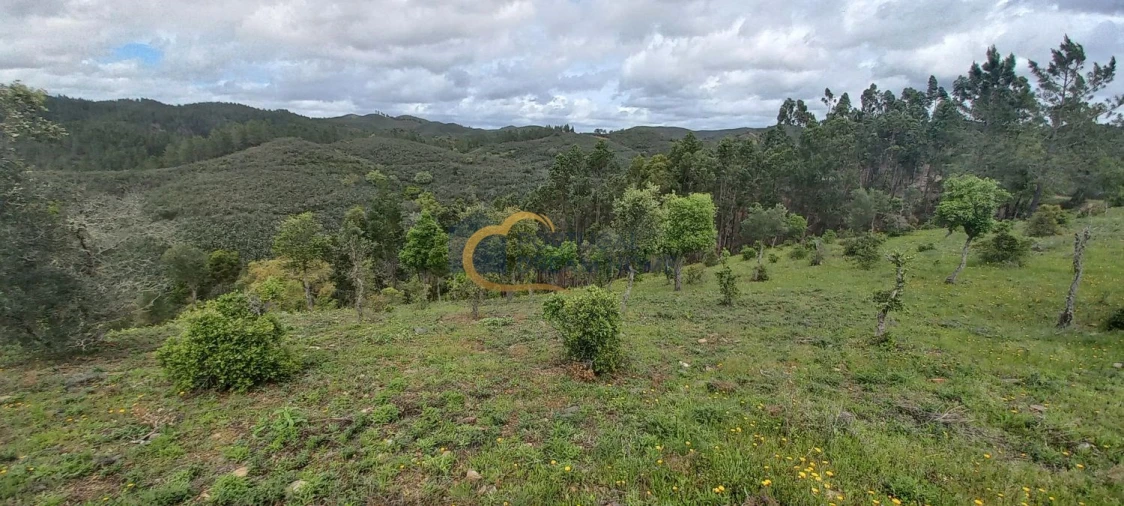 Terreno Agricola ou Rústico para Venda em São Silvestre Foto 12