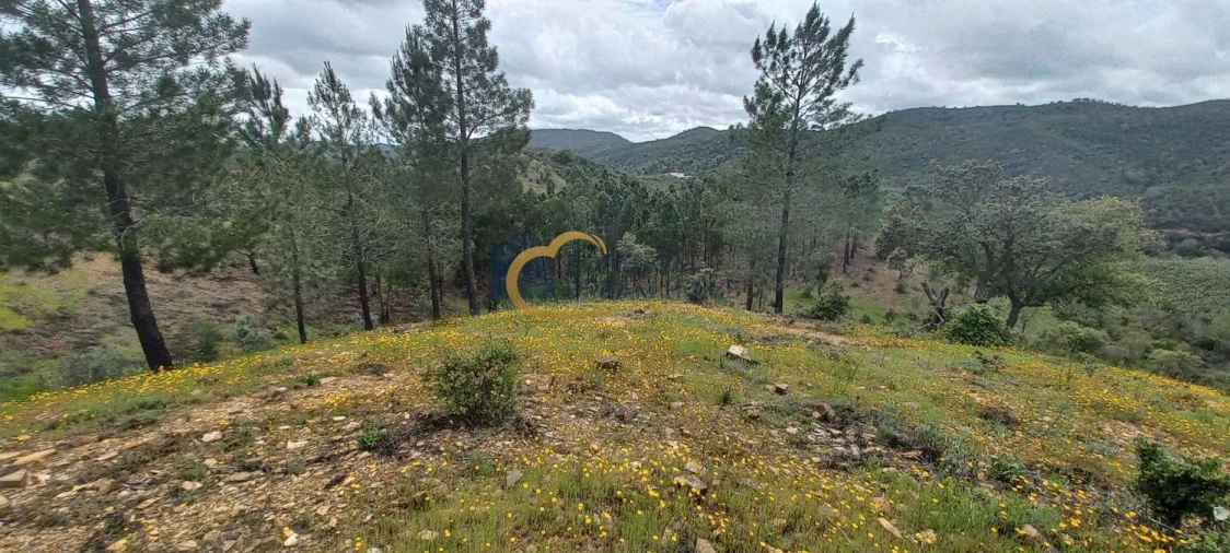 Terreno Agricola ou Rústico para Venda em São Silvestre Foto 3