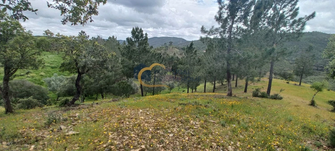Terreno Agricola ou Rústico para Venda em São Silvestre Foto 8