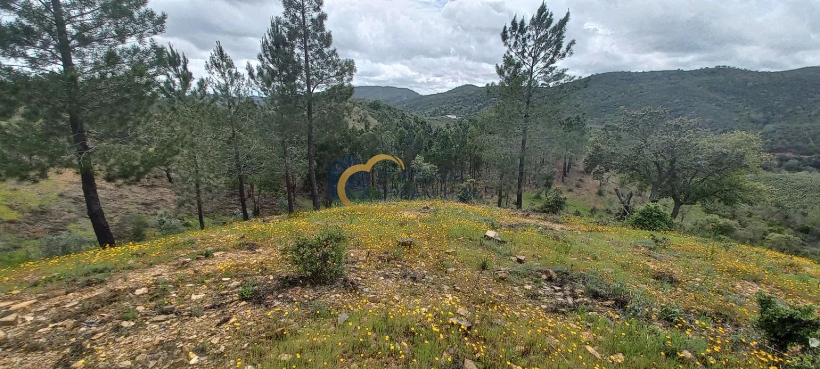 Terreno Agricola ou Rústico para Venda em São Silvestre Foto 3