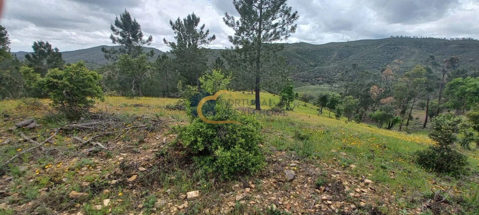 Terreno Agricola ou Rústico para Venda em São Silvestre Foto 19