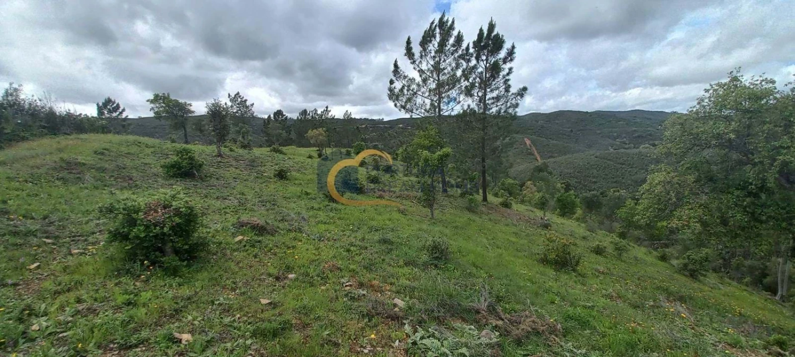 Terreno Agricola ou Rústico para Venda em São Silvestre Foto 7