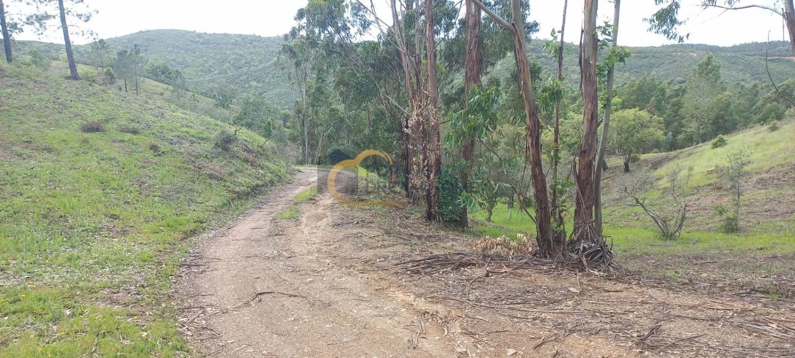 Terreno Agricola ou Rústico para Venda em São Silvestre Foto 20