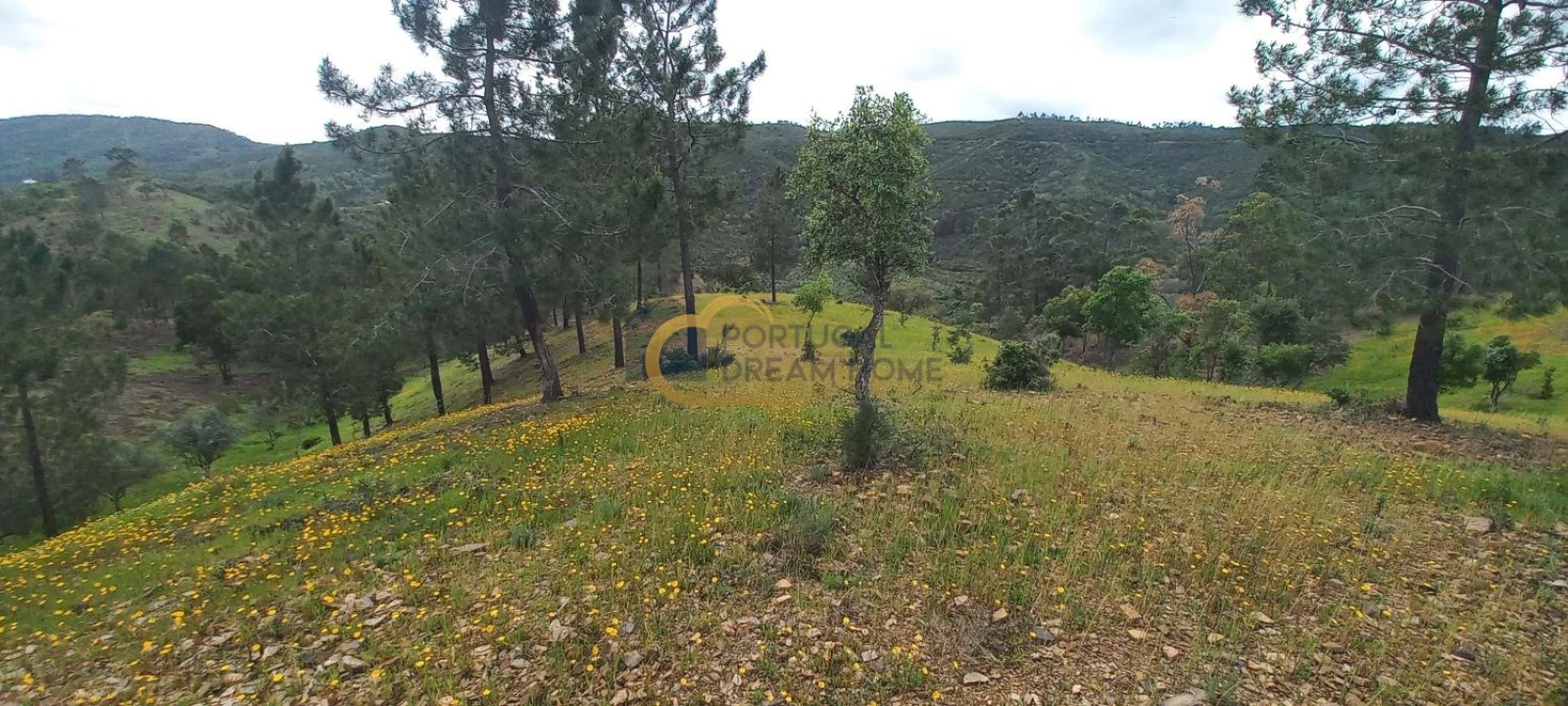 Terreno Agricola ou Rústico para Venda em São Silvestre Foto 14